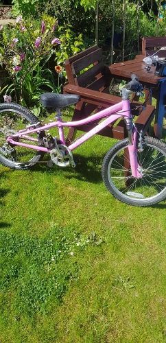 Picture of Hotrock Specialized Girls Bike