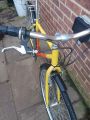 Picture of Giant Mountain Bike